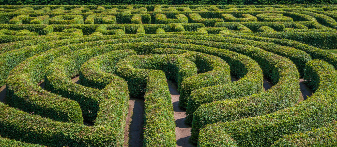 Navigating the Massachusetts Health Insurance Maze - Exhale Lifestyle